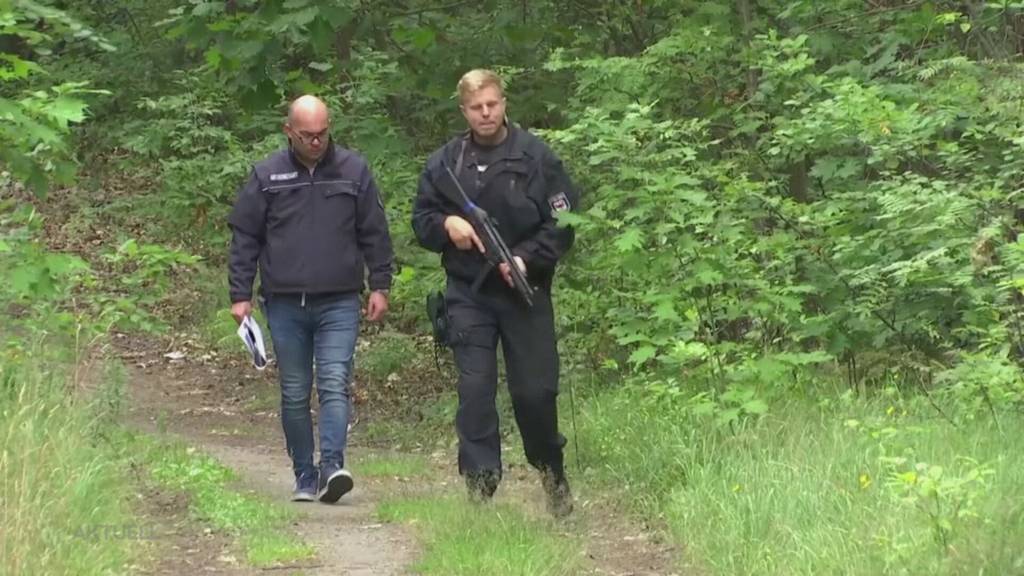 Tierische Verwechslung: In Berlin jagte die Polizei offenbar eine Wildsau und kein Löwe