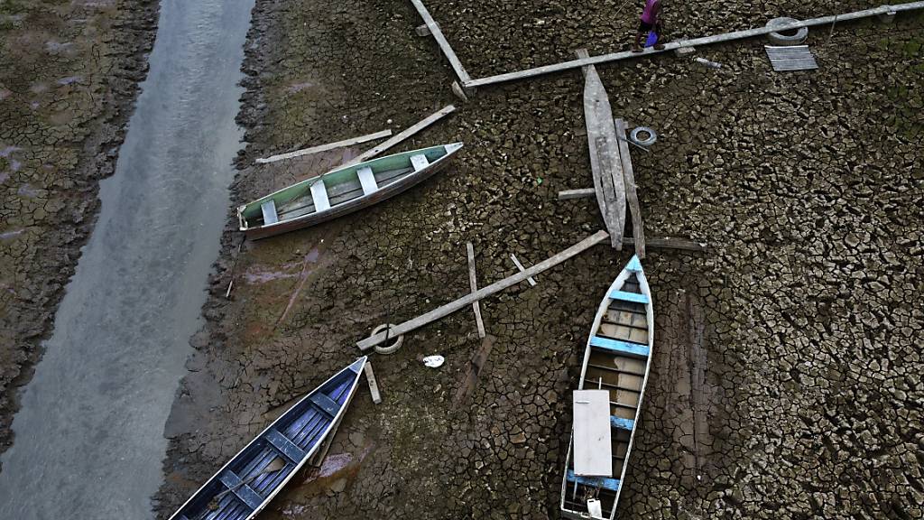 Unesco: Wasserknappheit kann Frieden weltweit bedrohen