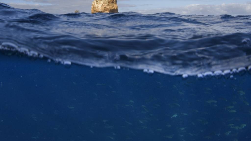 Nahe der Isla Darwin im äussersten Nordwestens des Galápagos-Archipels steuerte die Besatzung einen ferngesteuerten Unterwasserroboter (ROV) über den Meeresboden. (Archivbild)