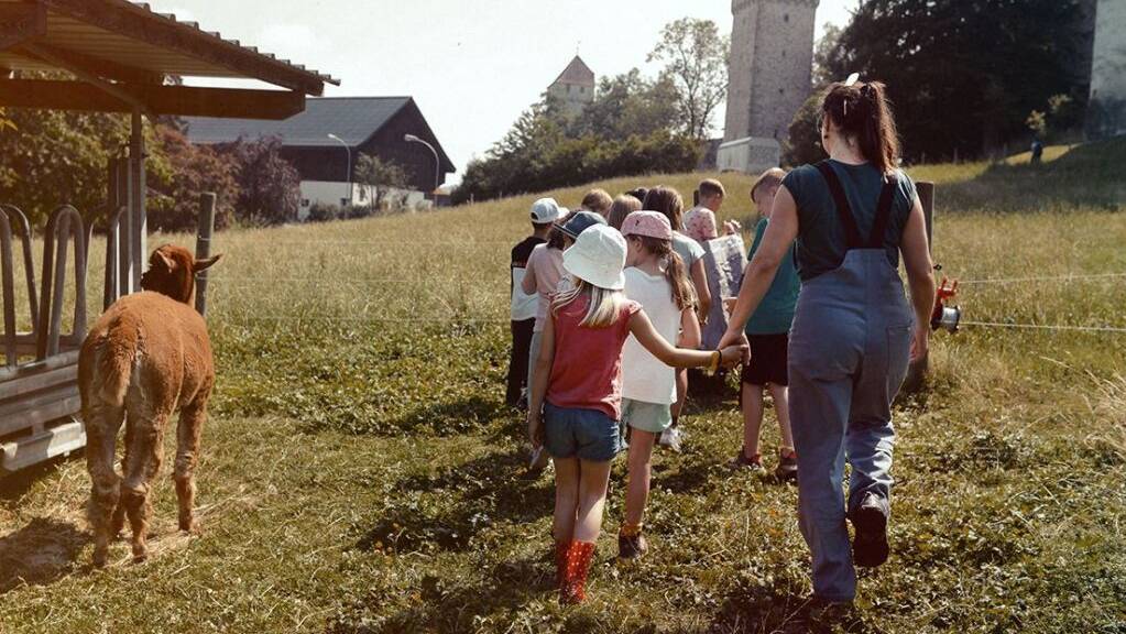 Auch in diesem Sommer können Kinder zwischen 6 und 18 Jahren im Rahmen des Luzerner Ferienpasses viel erleben.