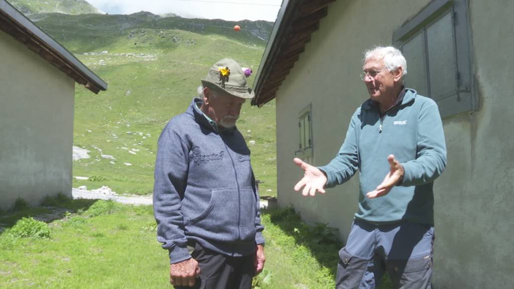 Wildpinkler auf  dem Furkapass