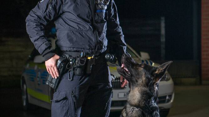 Diebe rennen davon – Polizeihund Eyk findet sie trotzdem