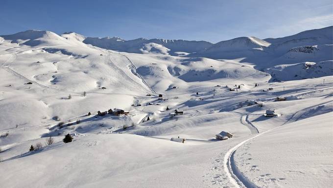 Für einen Tag der König im Skigebiet