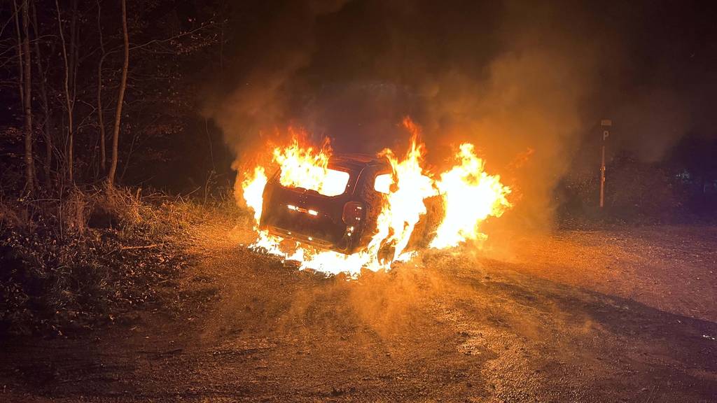 Parkiertes Auto brennt komplett aus – Brandursache unbekannt