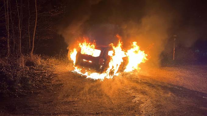 Parkiertes Auto brennt komplett aus – Brandursache unbekannt