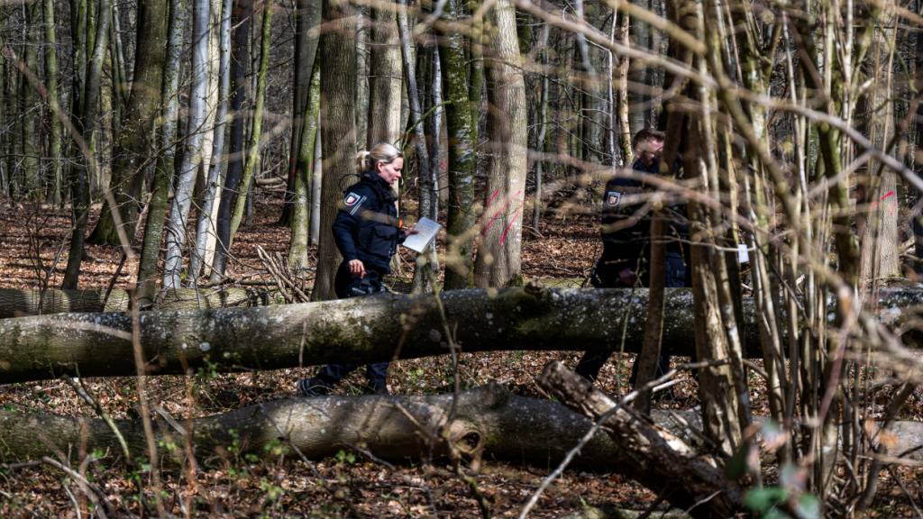 dpatopbilder - Einsatzkräfte der Polizei stehen in einem Waldstück südöstlich von Flensburg neben einem umgestürzten Baum. Bei einem Unglück sind am Ostersonntag drei Menschen ums Leben gekommen. Foto: Benjamin Nolte/dpa