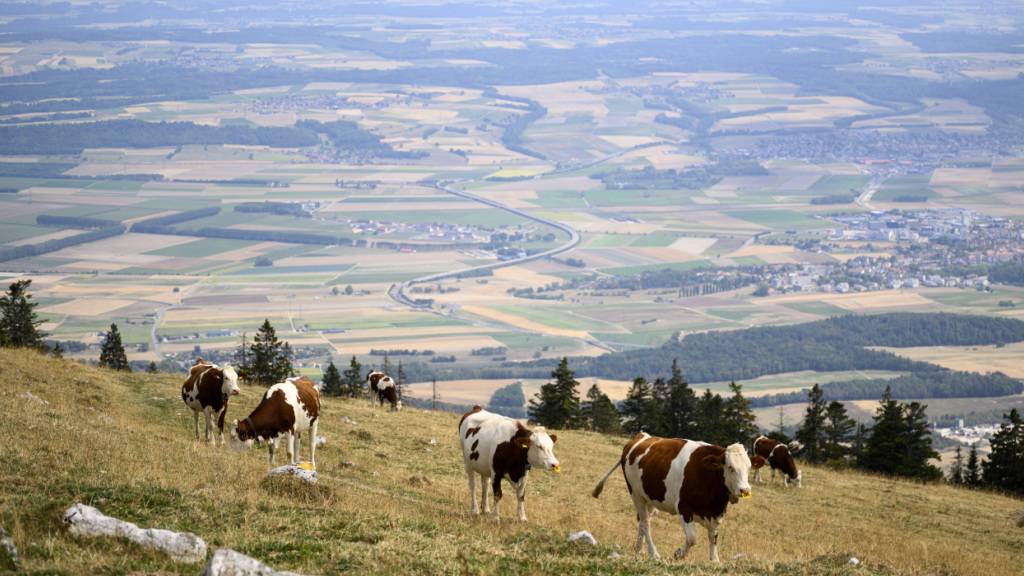 Bauern sind angesichts der Wasserknappheit am Ende ihrer Kräfte