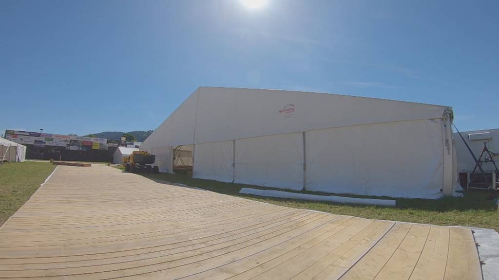 Letzte Arbeiten für Emmentalisches