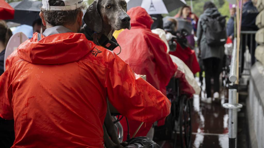 Assistenzhund im Einsatz bei einer Unterschriftenübergabe in Bern. Die zuständige Nationalratskommission will für mehr Qualität bei der Ausbildung der vierbeinigen Helfer sorgen. (Archivbild)