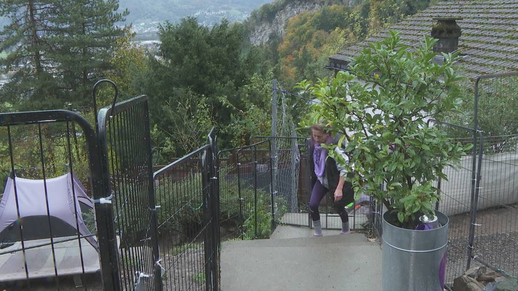 Susis Hundepension in Sevelen vor dem Aus