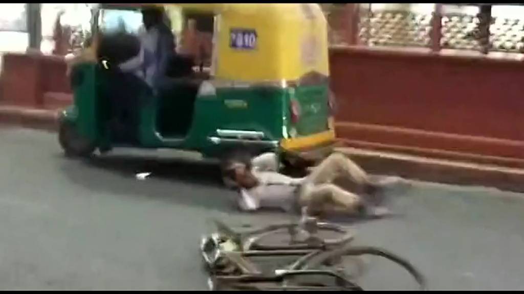 Schlecht gelaunter Affe attackiert Velofahrer
