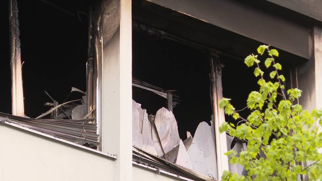 Feuer bricht in Lagerhalle in Oerlikon aus – Löscharbeiten im Gang