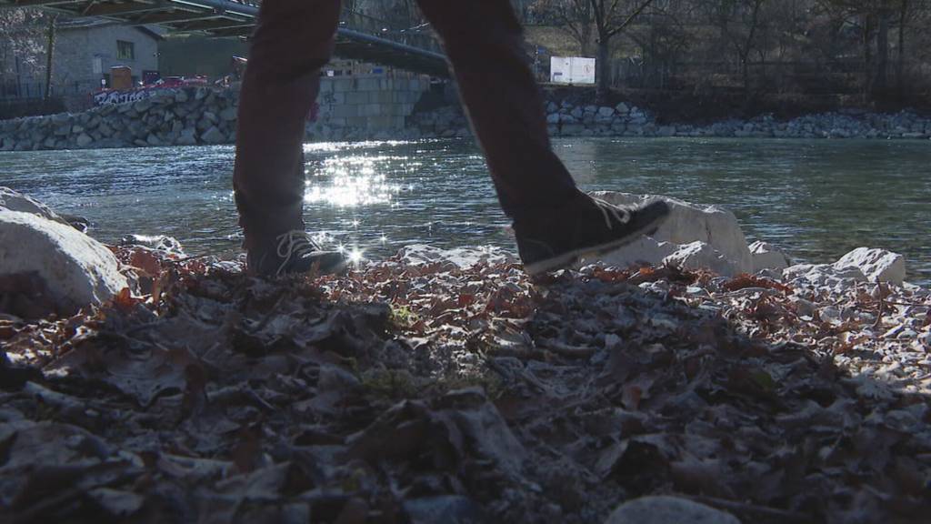 Berner Naturschützer zeigt artenreiche Nassgebiete an der Aare