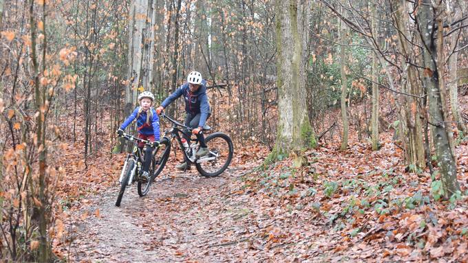 Mountainbike-Trails im Bireggwald verzögern sich erneut