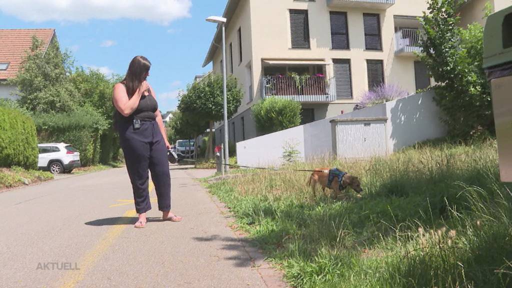 «Er spürt die Aufregung um ihn» – kann Hund Didi doch noch gerettet werden?