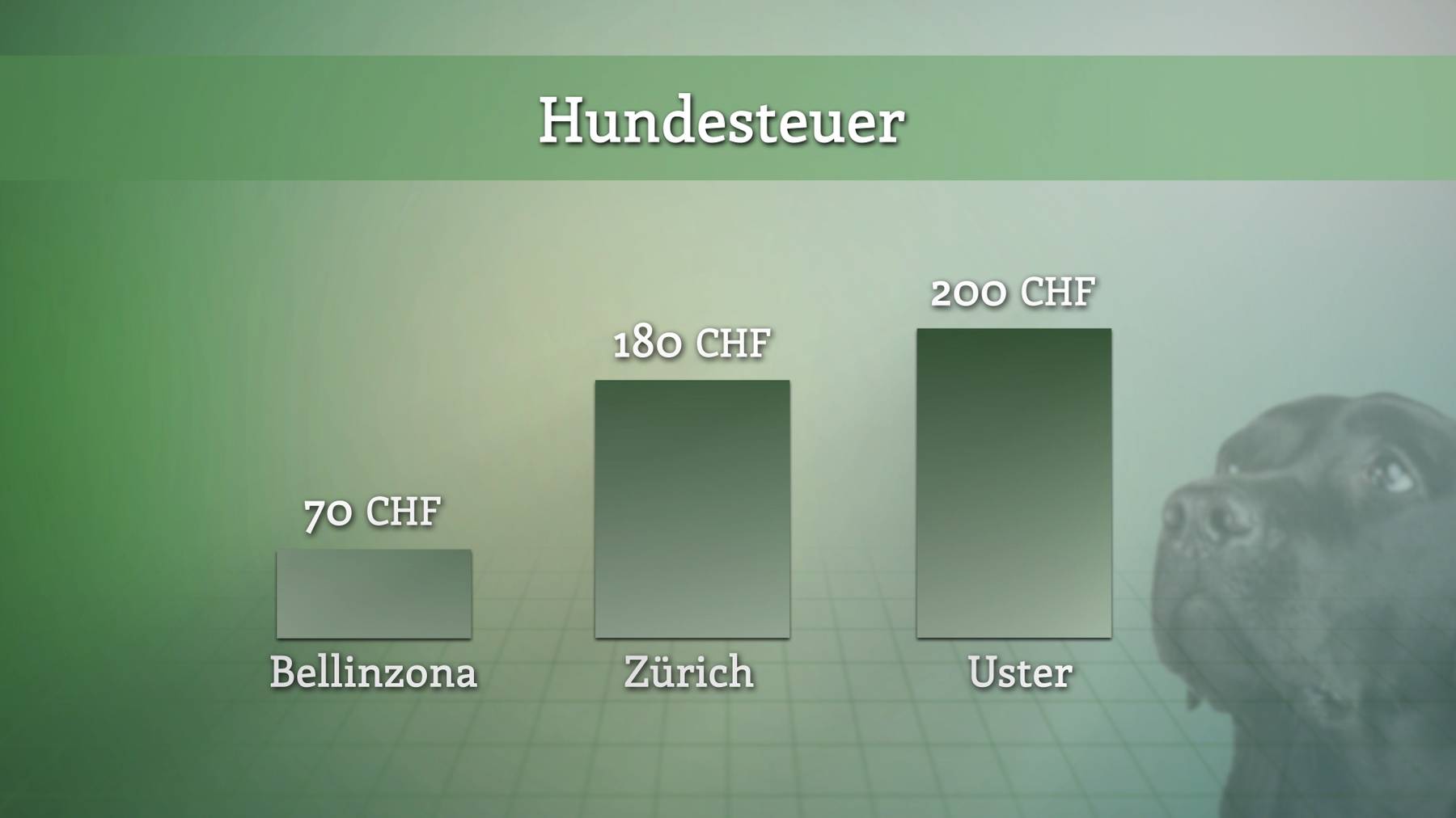 Hundesteuer – grosse regionale Unterschiede in der Schweiz.