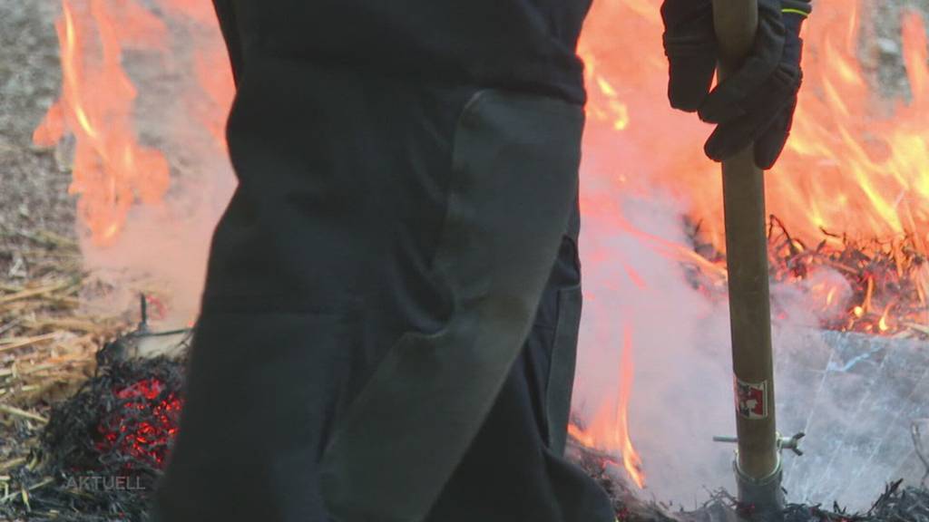 Waldbrand-Gefahr: Kaderleute mehrerer Solothurner Feuerwehren üben Ernstfall