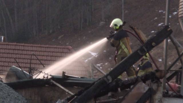 300 Tiere verenden im Feuer