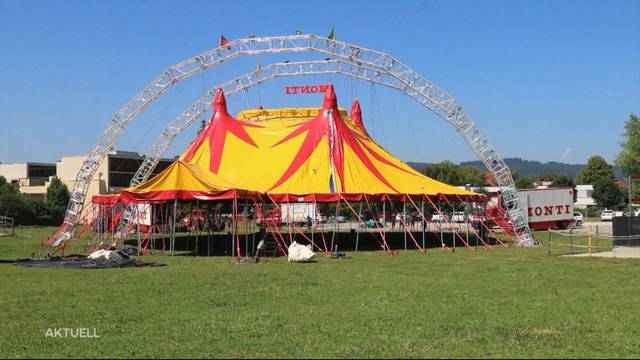 Freie Sicht im Zirkus Monti