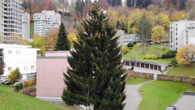 Christbaum kommt frühestens am Montag