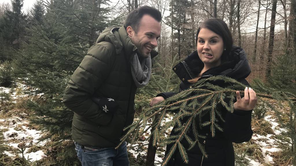 Was hilft gegen Harz an den Händen?