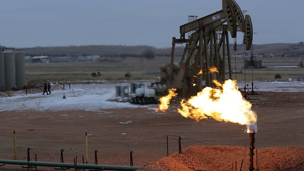 Die OPEC wird die Ölförderung wohl auch in Zukunft bewusst drosseln. (Archivbild)