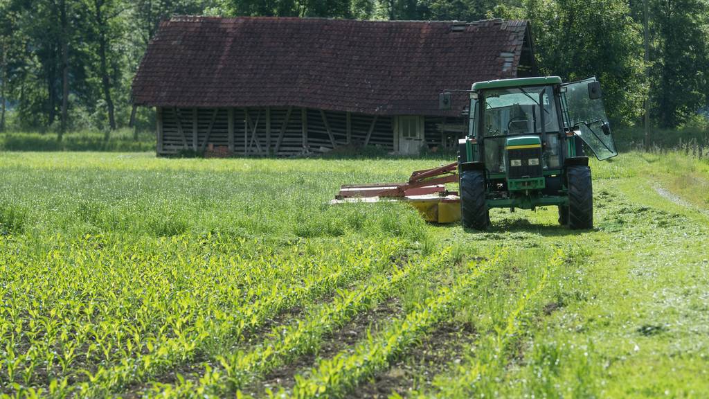 Traktor mit Mähwerk (Symbolbild)