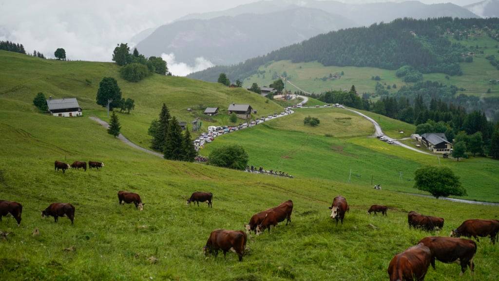Der Ausbruch einer ansteckenden Rinderseuche verhindert, dass die Tour de France am Freitag über den Col des Saisies führt