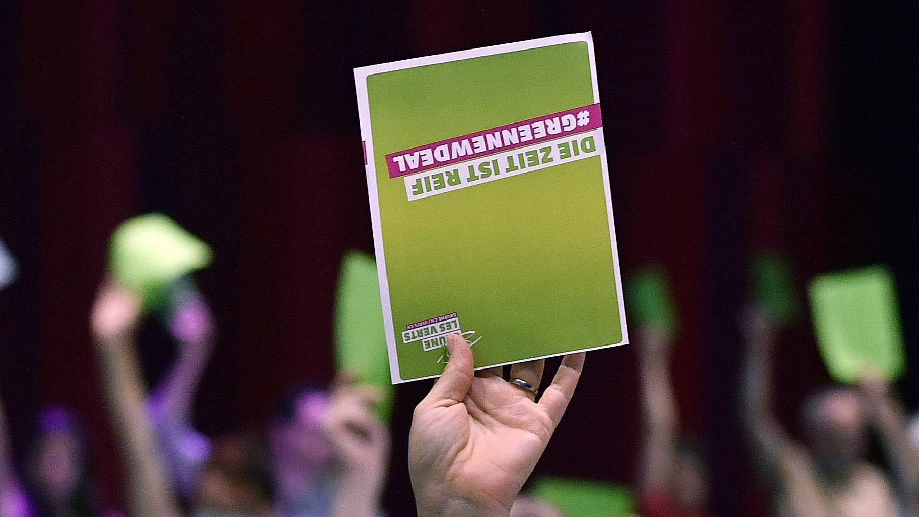 Die Grünen trafen sich erstmals seit der Coronakrise wieder zu einer Delegiertenversammlung. Diese fand in Brugg (AG) statt.