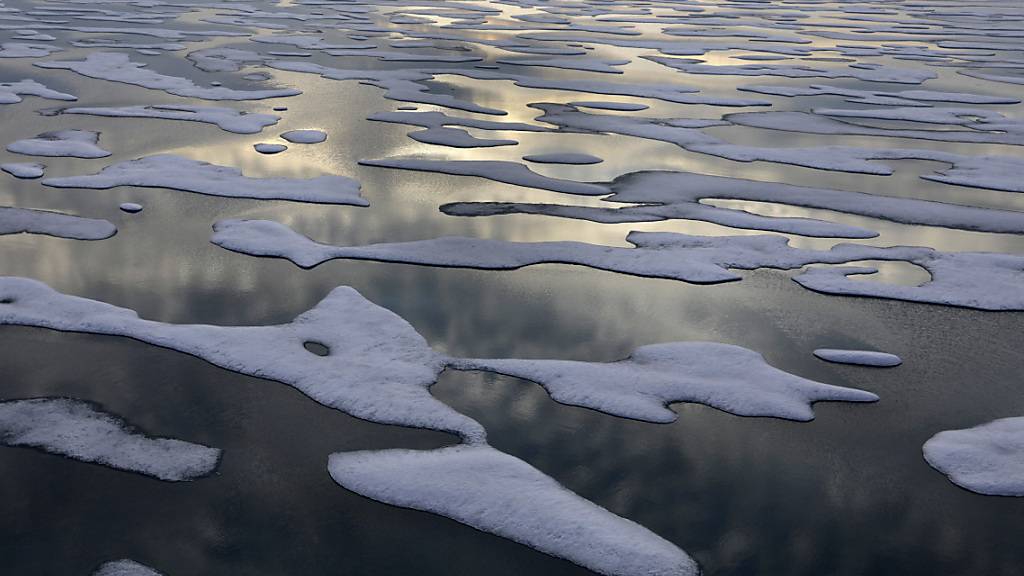 Das Wintereis in der Beringsee schmilzt laut einer Studie mit hohem Tempo. (Archivbild)