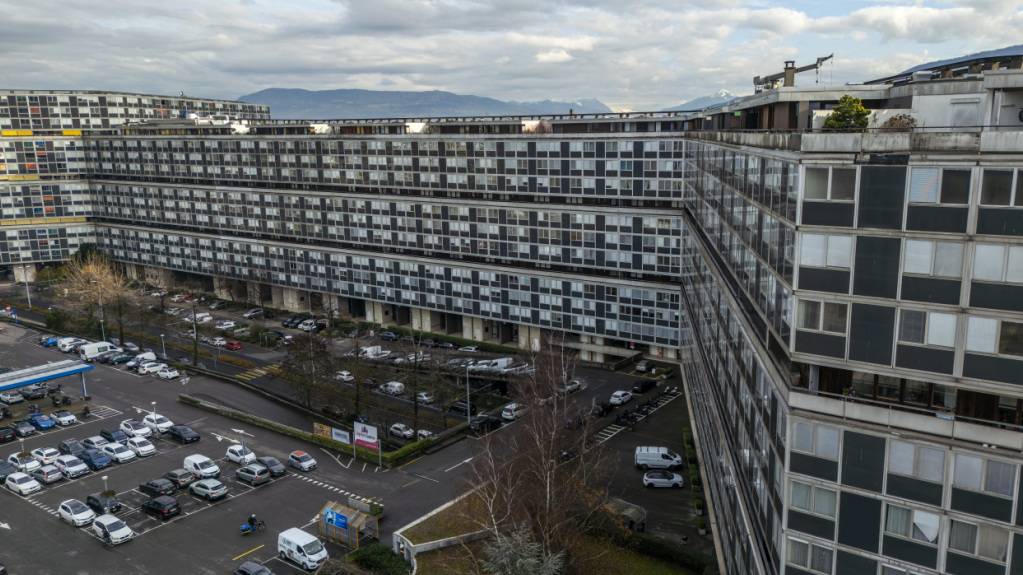 Wohnungspreise steigen im Januar leicht - Einfamilienhäuser stabil