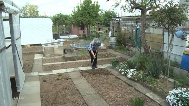 Schrebergarten-Drama in Rheinfelden