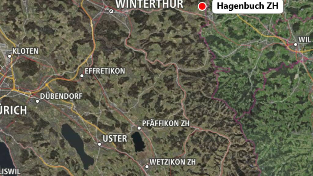 Ein Feuer an einem Fahrzeugunterstand griff auf das Wohnhaus über.