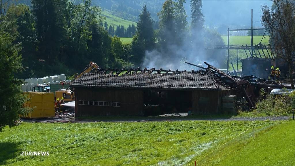 Stall in Trachslau SZ niedergebrannt