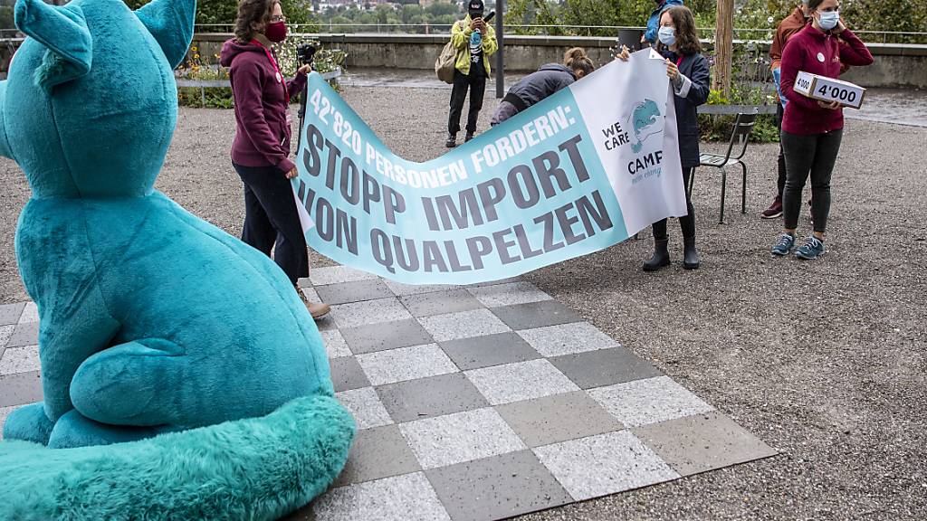 Vertreterinnen und Vertreter von Tierschutzorganisationen mit ihrem Maskottchen Colby reichen in Bern ihre Petition für ein Importverbot für tierquälerisch erzeugte Pelze ein