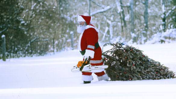 Weihnachtsmann mit Baum