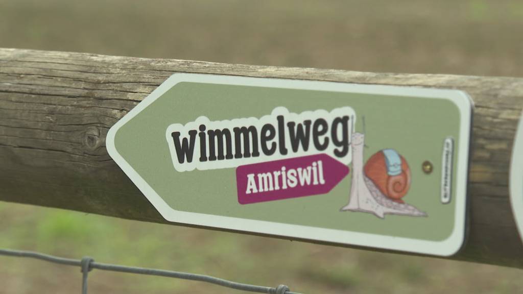 Nach zwei Vandalen-Attacken: Amriswiler Wimmelweg ist Geschichte