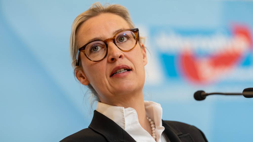 Alice Weidel, Bundesvorsitzende und Fraktionsvorsitzende der AfD in Deutschland, spricht beim Pressestatement vor der Fraktionssitzung. Foto: Michael Kappeler/dpa