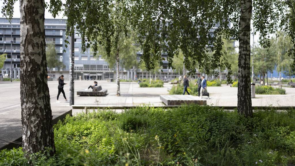 Pflanzen und Birken bringen Biodiversität und Schatten auf den Turbinenplatz