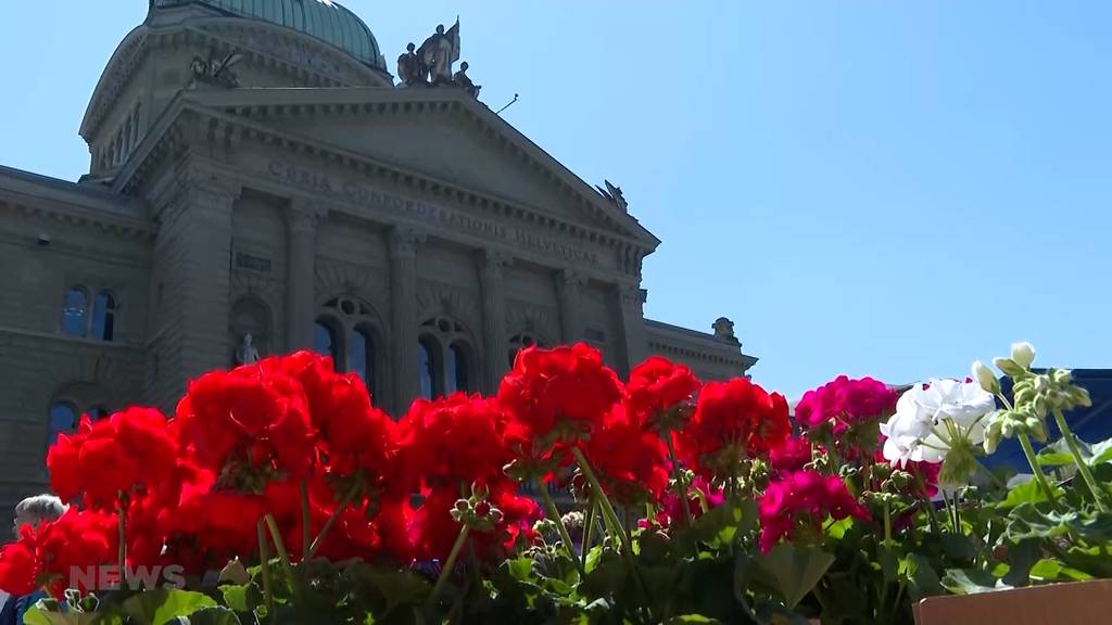 Berner Graniummärit findet zum 65. Mal statt