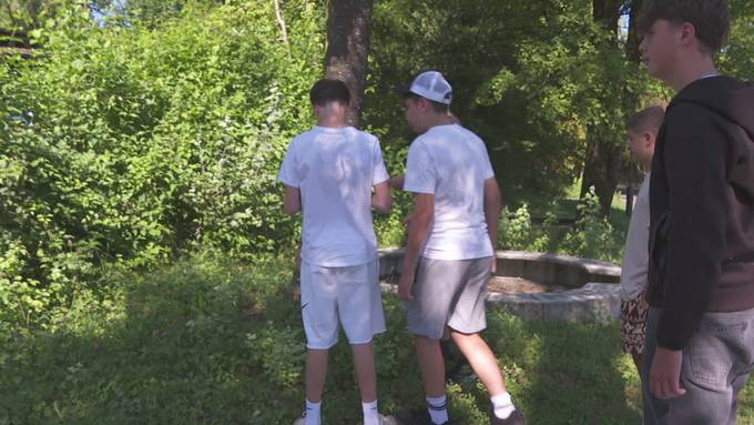Neues Handyspiel soll Natur näher bringen