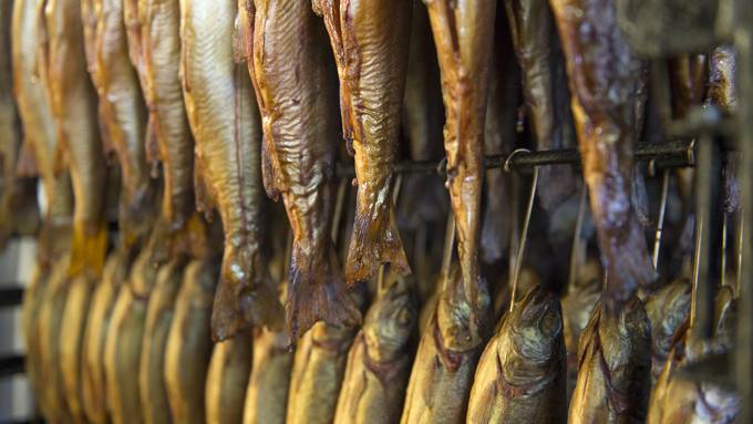 Ermittlungen wegen fahrlässiger Tötung durch «Listerien-Fische»