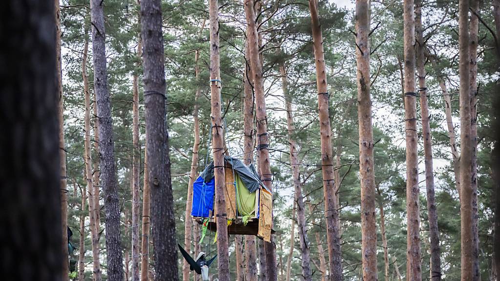 Camp bei Tesla: Aktivisten wollen Räumung juristisch verhindern