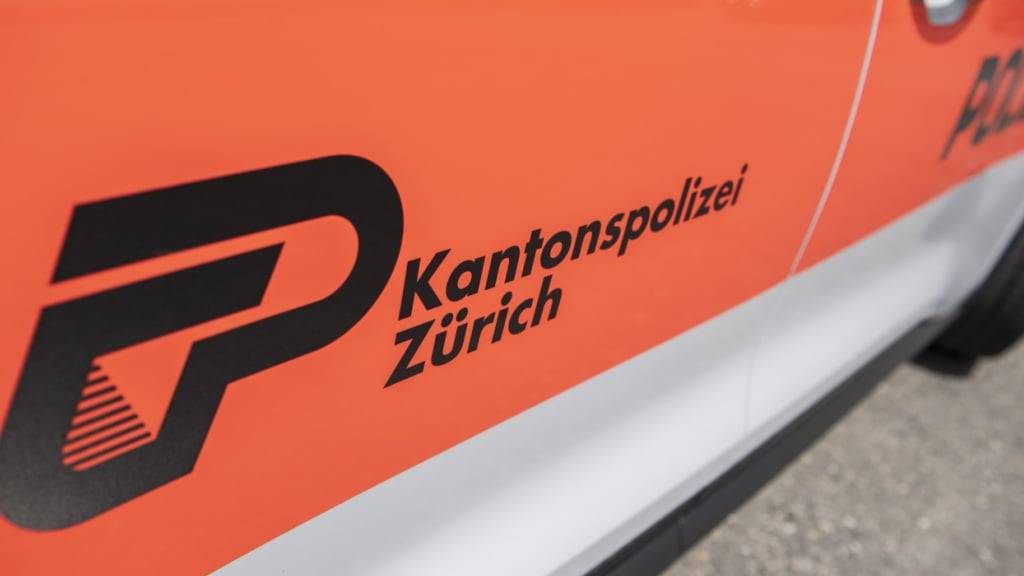 Die Kantonspolizei Zürich verhaftete am Mittwoch im Hauptbahnhof Zürich einen gesuchten 27-jährigen Eritreer. Er wird verdächtigt, einen Landsmann getötet zu haben. (Symbolbild).