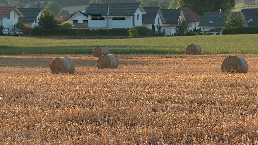 Strohballen von Vandalen zerstört