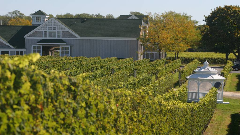 Vineyard und Scheune in Long Island
