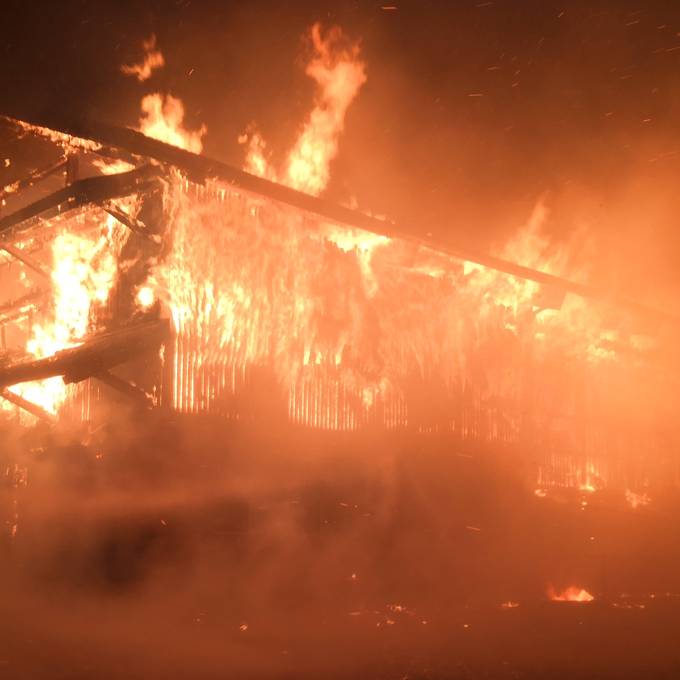 Scheunenbrand in Müswangen fordert mehrere tote Tiere