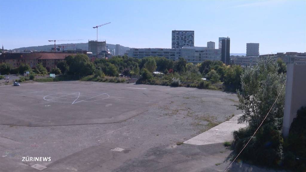 IG „Freiräume Zürich-West“ will Stadion verhindern