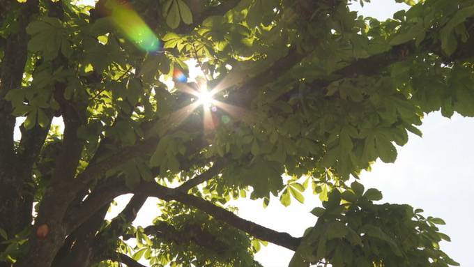 In der Ostschweiz sind die Sommergefühle geweckt