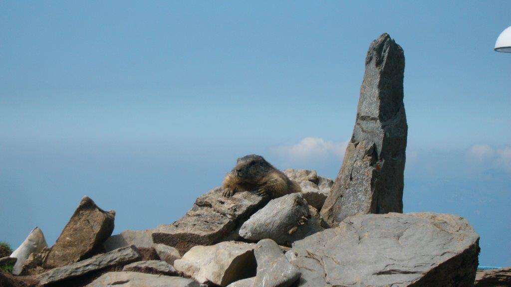 Freizeittipp: Alpenwanderung Klewenalp-Isenthal